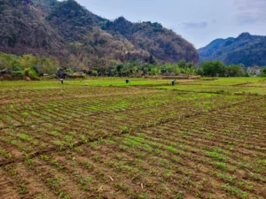 mai chau vietnam