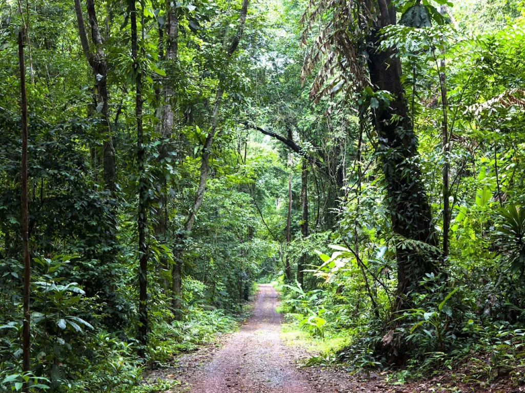 parc national de ba vi
