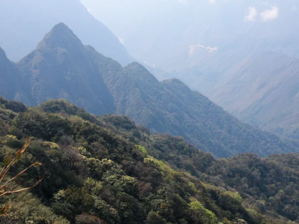 Ascension du Fansipan – Trek 2 jours depuis Sapa – Image 2