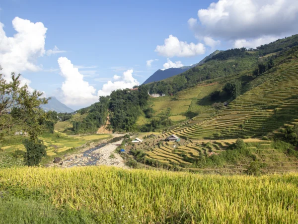 sapa vietnam